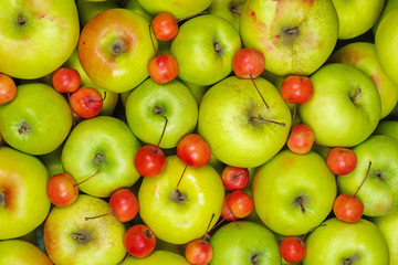 Big green and small red crab apples