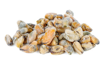 Pile of raw frozen mussels isolated on white background