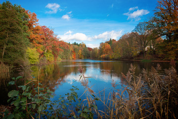 M&uuml;hlenteich in Aum&uuml;hle bei Hamburg - Herbststimmung