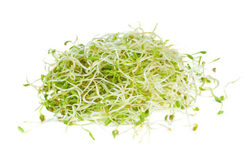 Fenugreek sprouts isolated on white background