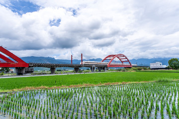 Hualien, Taiwan-August 14, 2018: Beautiful Red Iron Bridge (Kecheng Bridge) And Morning Train Across The Rice Plantation At Yuli