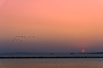 Sunset over the Black Sea, Krasnodar Krai, Russia. Silhouettes of barges and flying birds on a sunset background.