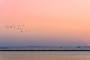 Sunset over the Black Sea, Krasnodar Krai, Russia. Silhouettes of barges and flying birds on a sunset background.