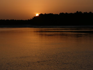 coucher de soleil sur la mangrove