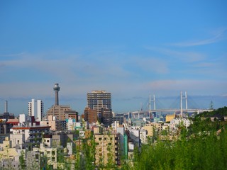 scenary of Yokohama Baybridge