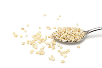 Barley on white background - isolated