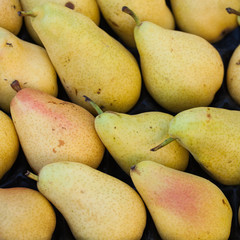 Poires align&eacute;es dans une cagette