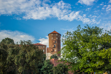 Obraz premium old classic medieval brick tower between green trees branches