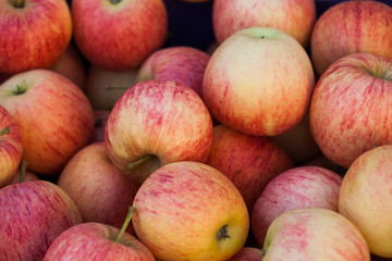 Pommes à vendre au marché