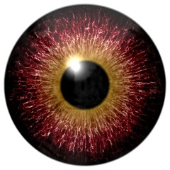 Animal eyeball 3d texture isolated white background, yellow round and black pulpil