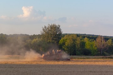 Harvester gathers the harvest on the field.