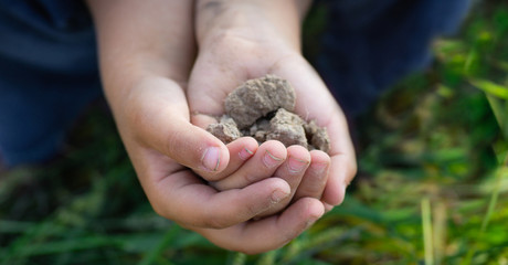 Soil in hand kid, palm, cultivated dirt, earth, ground, Organic gardening, agriculture. Nature closeup. Environmental texture
