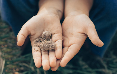 Soil in hand kid, palm, cultivated dirt, earth, ground, Organic gardening, agriculture. Nature closeup. Environmental texture