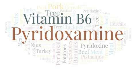 Obraz premium Pyridoxamine word cloud.