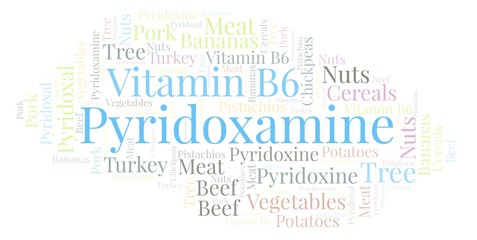 Fototapeta premium Pyridoxamine word cloud.