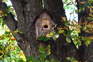 The birdhouse