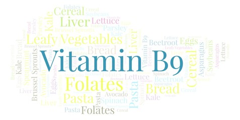 Vitamin B9 word cloud.