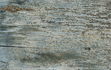 Naklejka premium wood background. Blue wood