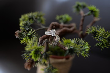 Rings of love with beautiful flowers. Happy and amazing day. Began new life