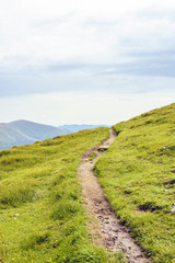 Pathway in Fagaras Mountains with grass on sides