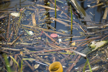 Garbage on the river