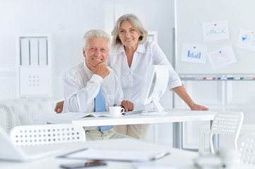 Fototapeta premium Portrait of a senior businesspeople working in the office