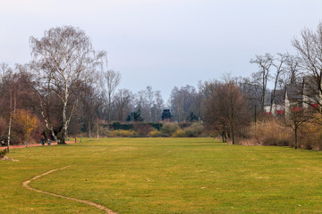 Fototapeta na wymiar Field in park