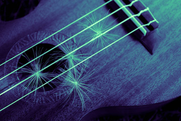 Romantic guitar strings close up, summertime, park. Playing guitar outdoor concept.
