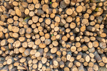 firewood stacked circular shape, close-up background