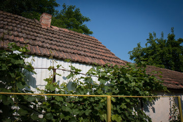 старая крыша дома