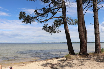 paysage lac de sanguinet dans les landes