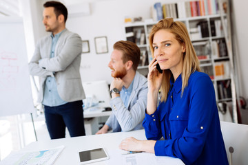 Fototapeta premium Business people working