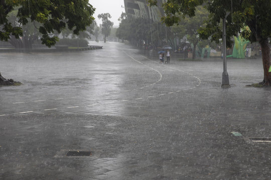 激しい雨