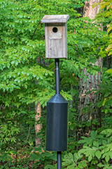 Bluebird Nesting House