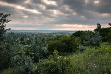 перед грозой