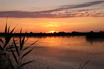 Tableau sur aluminium Paysages Coucher de soleil sur le bassin d'arcachon, Domaine de Certes  © jerome33980
