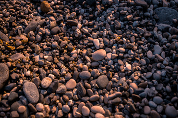 the texture of sea rocks