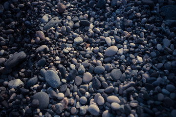 the texture of sea rocks