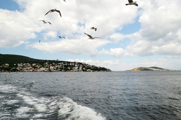 The seagulls is flying near people on a ferry near the Princes' islands in Istanbul