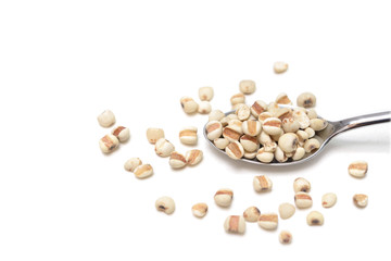 Chinese pearl barley on white background - isolated