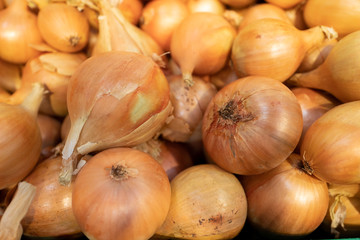 Onions for sale on the market