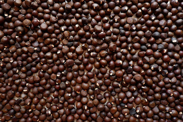 Brown background from chealking nuts. Texture of seeds.