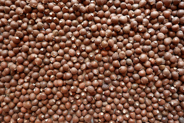 Brown background from nut Staphýlea pinnáta. Texture of seeds.