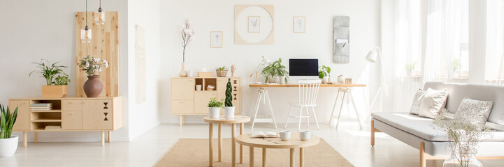 Real photo of white open space flat interior with grey sofa, wooden cupboards with plants and decor, coffee table with mugs and study corner desk with empty screen computer