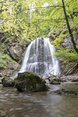 Wasserfälle im Wald - 219957349