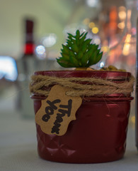 Centerpiece at wedding plant