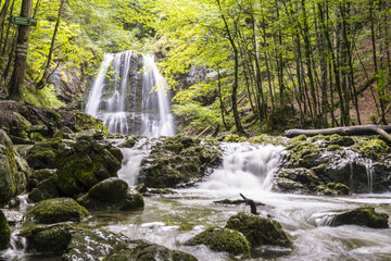 Wasserfälle im Wald - 219957374