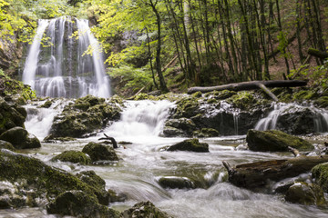 Wasserfälle im Wald  - 219957388