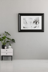 Plant on white cabinet in empty grey apartment interior with poster. Real photo. Place for your sofa