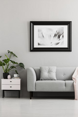 Grey couch with cushion next to white cabinet with plant in flat interior with poster. Real photo